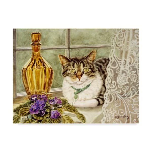 Jan Benz 'Abigails Window' Canvas Art, 35x47, Trademark Fine Art, Mfr#: ALI36348-C3547GG